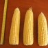 Кукуруза сахарная Трофи F1 (5000 семян)