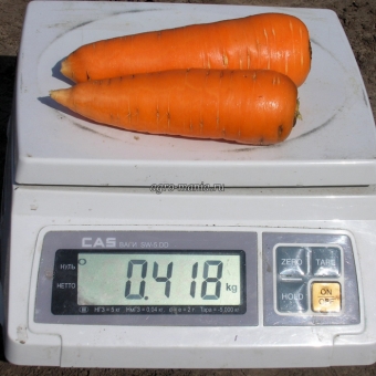 Морковь Ред Кор Clause (500 г)