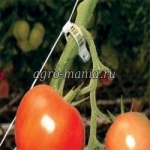 Зажим для томатов 23 мм 550kc (50 шт)