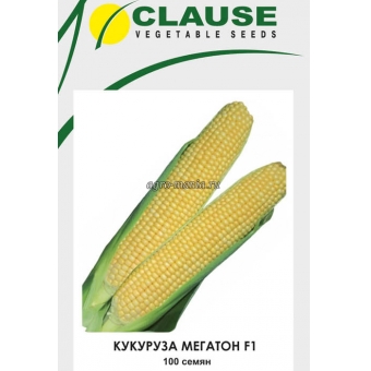 Кукуруза сахарная Мегатон F1 (100 семян)