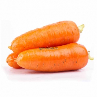 Морковь Абако F1 (1 млн. семян, фракция 2.0-2.2 мм)