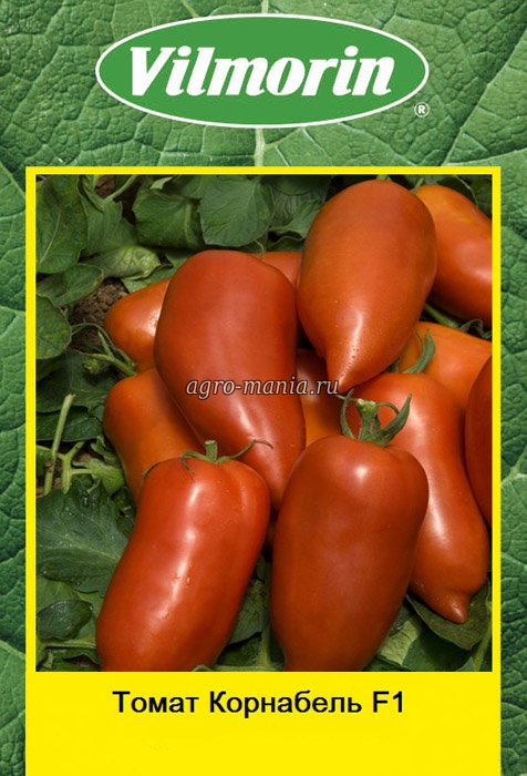 Карнабель томат характеристика и описание сорта фото