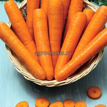 Морковь Сопрано F1 (100000 семян, фракция 1.6-1.8 мм)