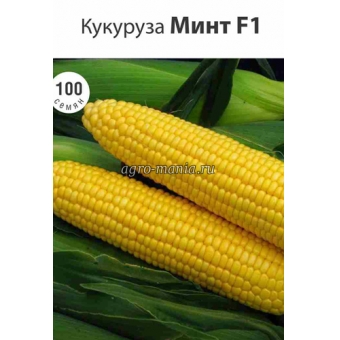 Кукуруза сахарная Минт F1 (100 семян)