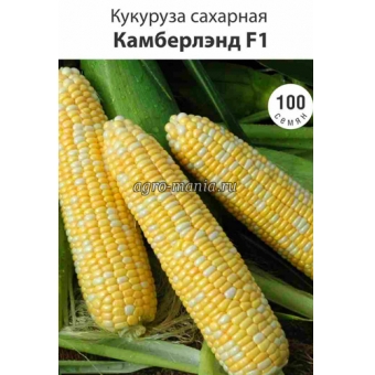 Кукуруза сахарная Камберленд F1 (100 семян)