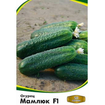 Огурец Мамлюк F1 (50 семян)